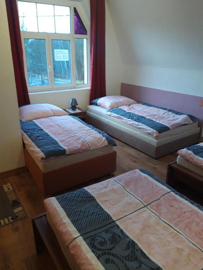erz-HOSTEL Thermalbad Wiesenbad Zewnętrze zdjęcie