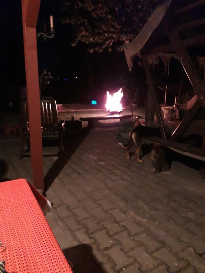 erz-HOSTEL Thermalbad Wiesenbad Zewnętrze zdjęcie